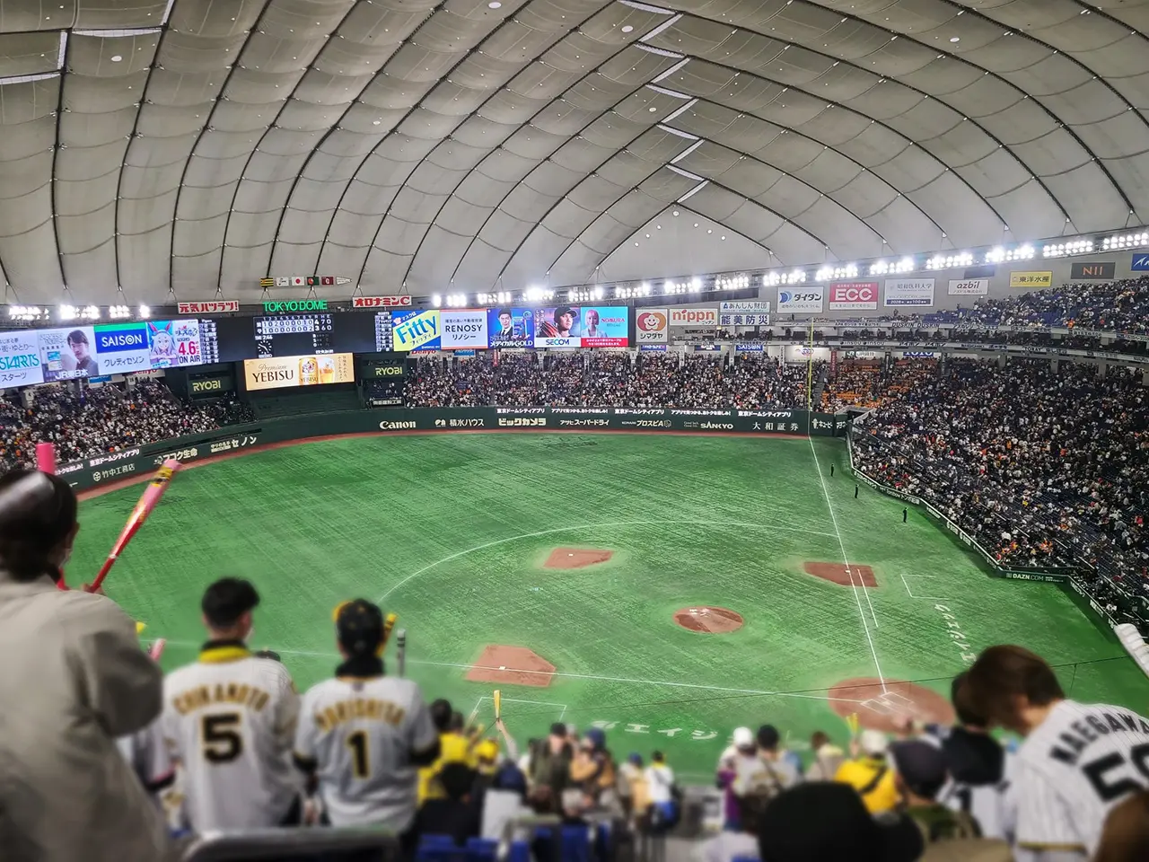 202504_baseball