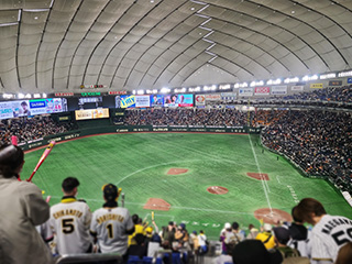 202504_baseball