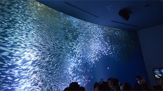 20250501