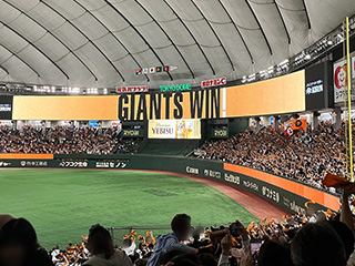 202505_baseball