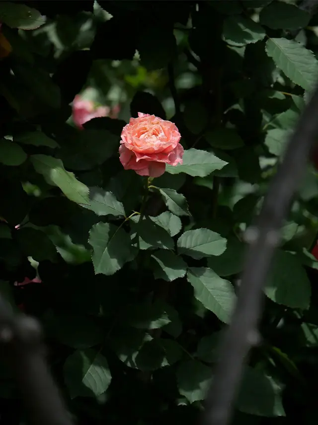 20260629_02